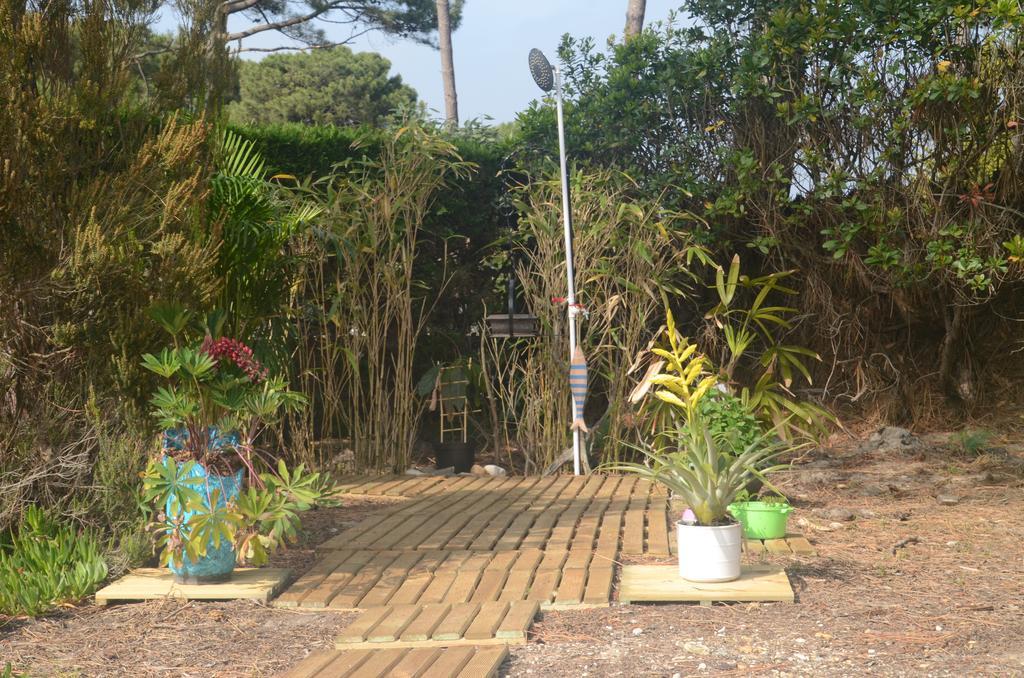 Villa Sunshine 比斯卡罗斯海滩 外观 照片